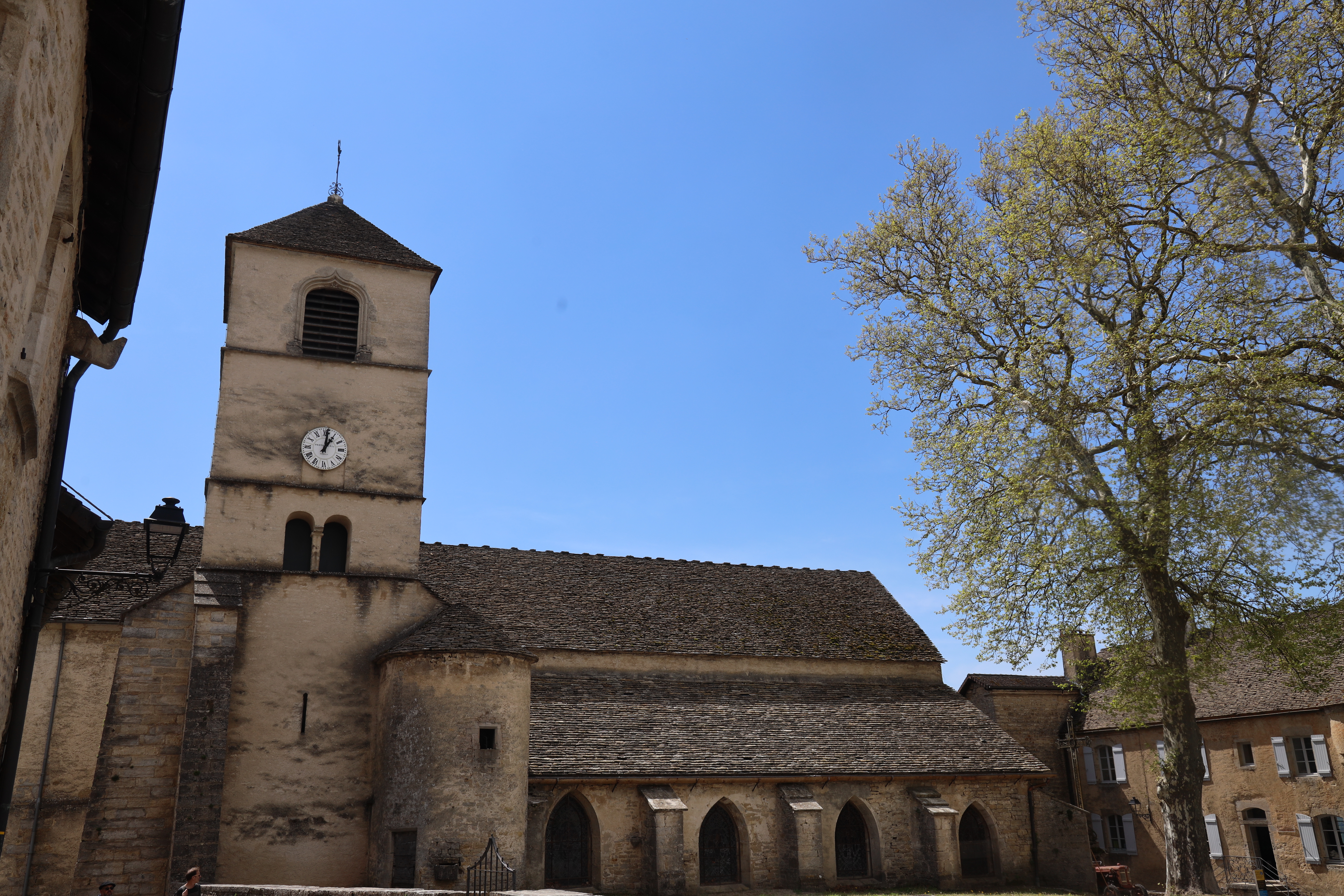 Vue panoramique de Château-Chalon